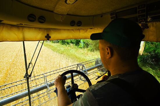 Уборка зерновых в Донецкой и Луганской областях 