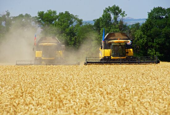 Уборка зерновых в Донецкой и Луганской областях