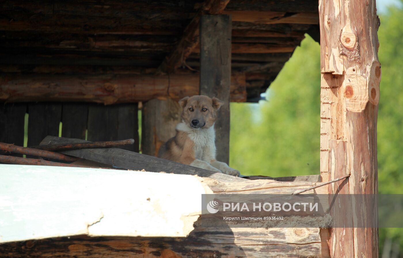 Ситуация в зоне подтопления в Иркутской области