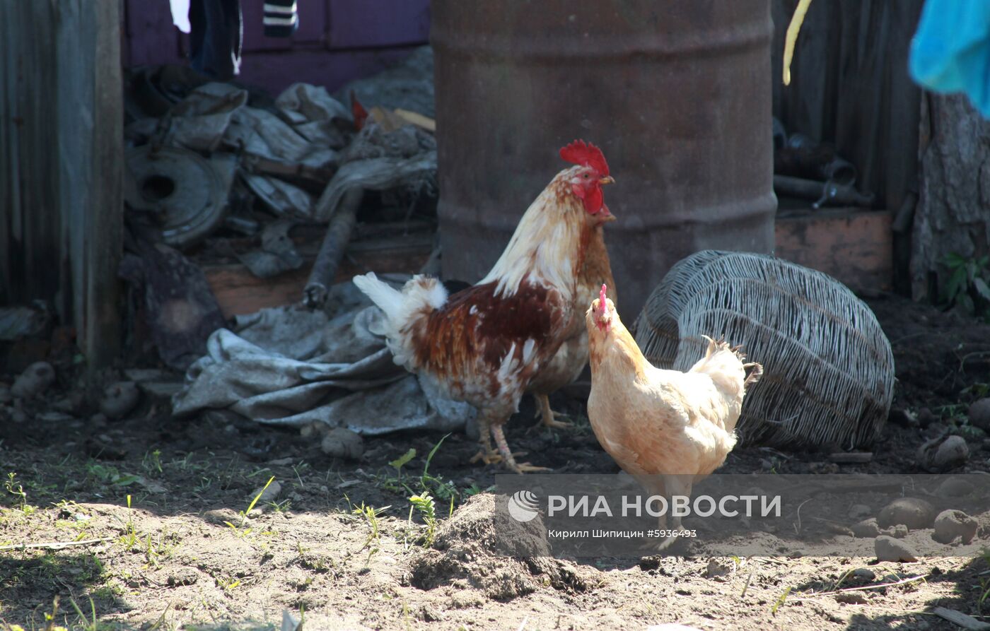 Ситуация в зоне подтопления в Иркутской области