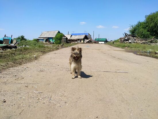 Ситуация в зоне подтопления в Иркутской области