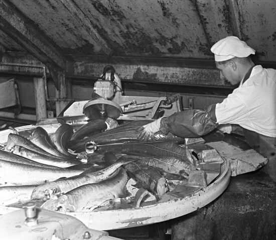 Траулер "Некрасов"