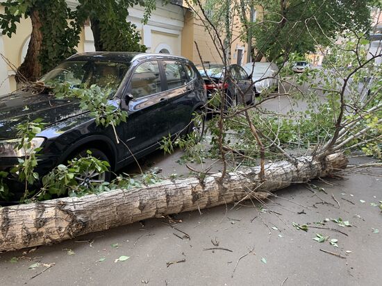 Последствия сильного ветра в Москве