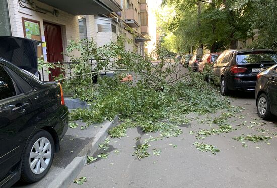 Последствия сильного ветра в Москве