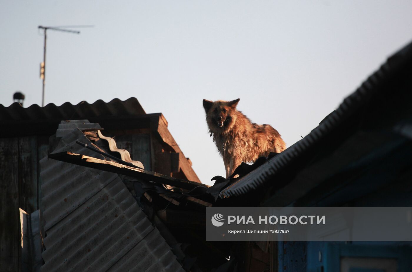 Ситуация в зоне подтопления в Иркутской области