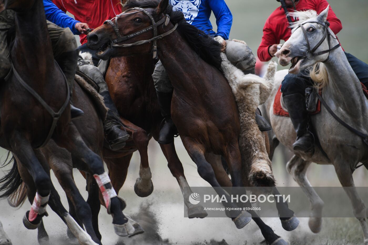 Чемпионат Республики Алтай по национальной игре кок-бору