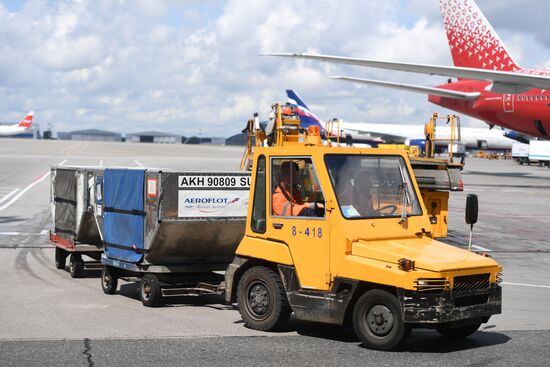 Выдача багажа в аэропорту Шереметьево 