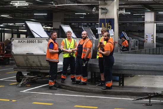 Выдача багажа в аэропорту Шереметьево 