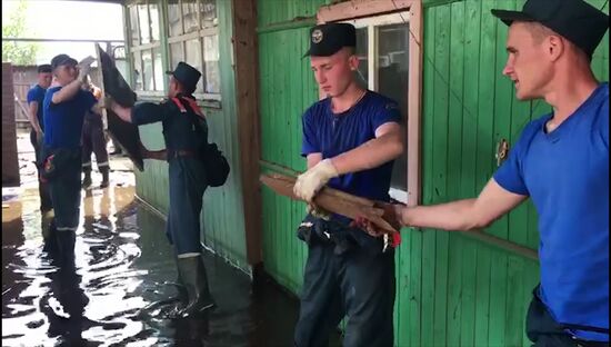 Ликвидация последствий подтопления в Иркутской области