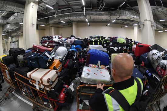 Выдача багажа в аэропорту Шереметьево 