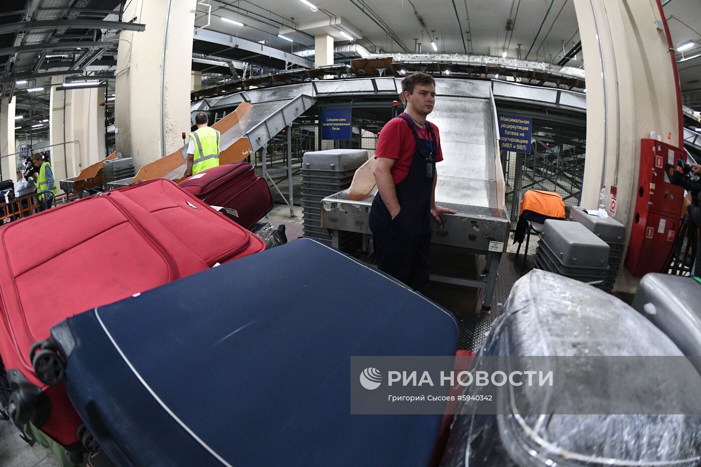 Выдача багажа в аэропорту Шереметьево 