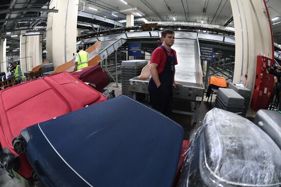 Выдача багажа в аэропорту Шереметьево 