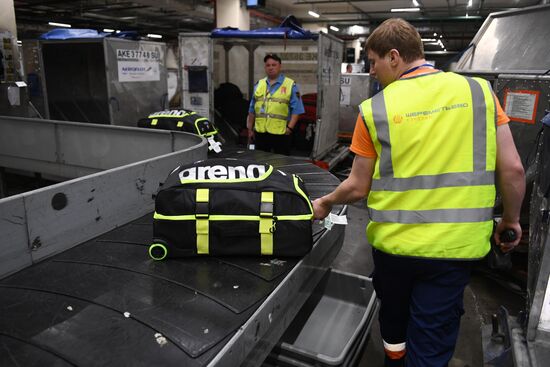 Выдача багажа в аэропорту Шереметьево 