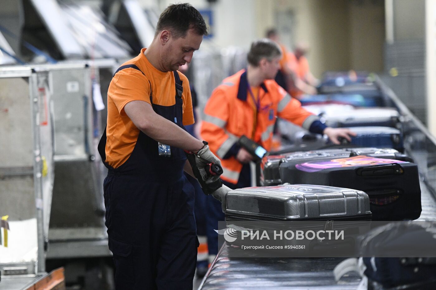 Выдача багажа в аэропорту Шереметьево