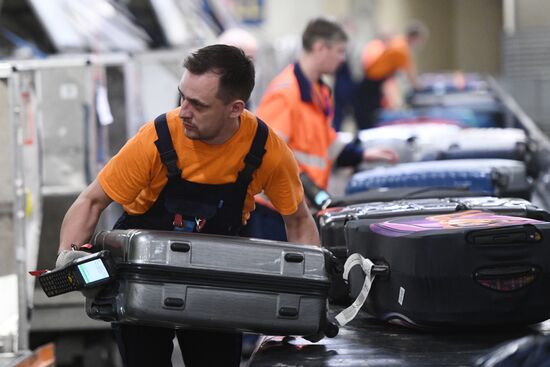 Выдача багажа в аэропорту Шереметьево 