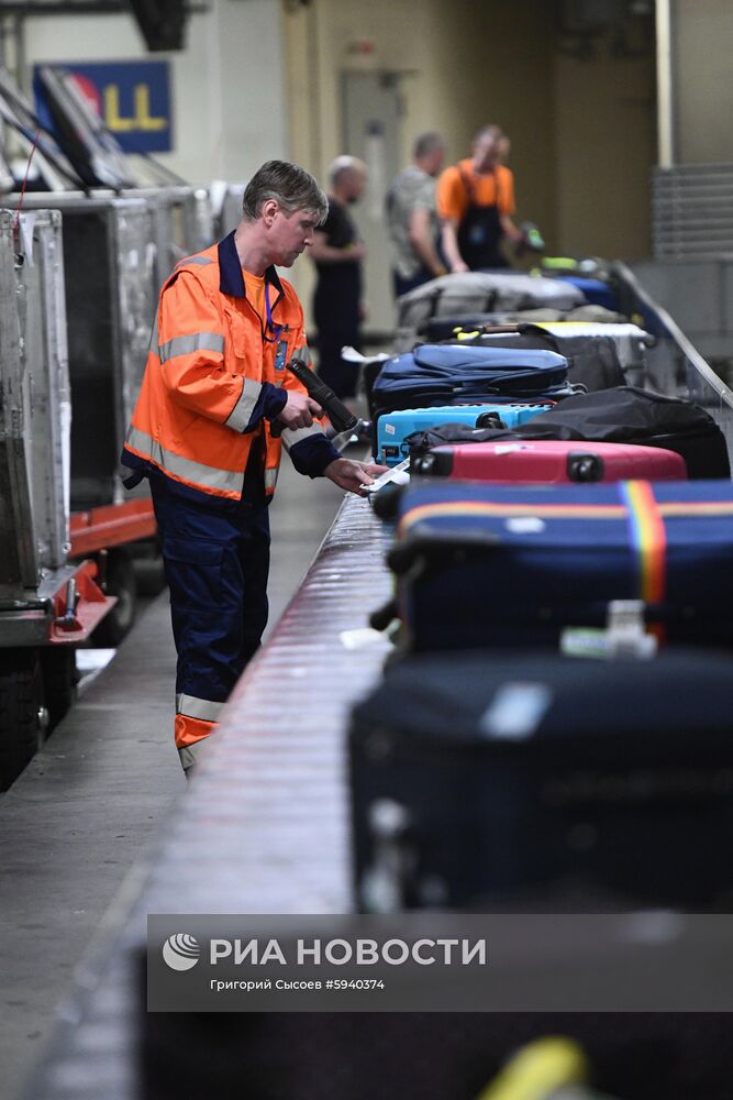 Выдача багажа в аэропорту Шереметьево