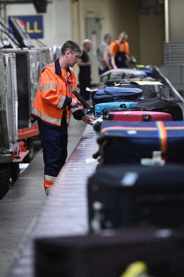 Выдача багажа в аэропорту Шереметьево 