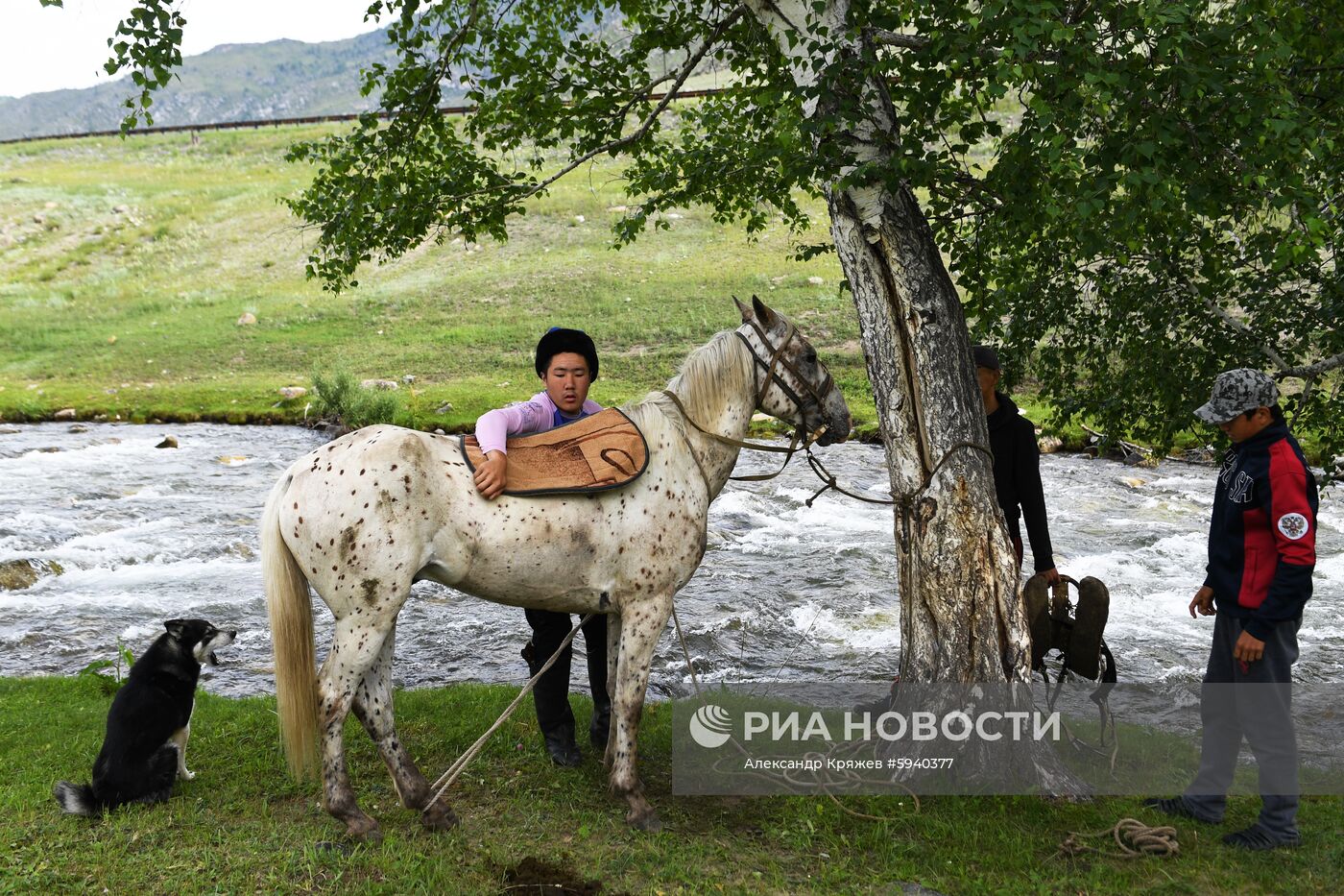 Чемпионат Республики Алтай по национальной игре кок-бору