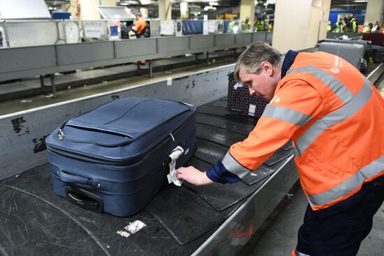 Выдача багажа в аэропорту Шереметьево 