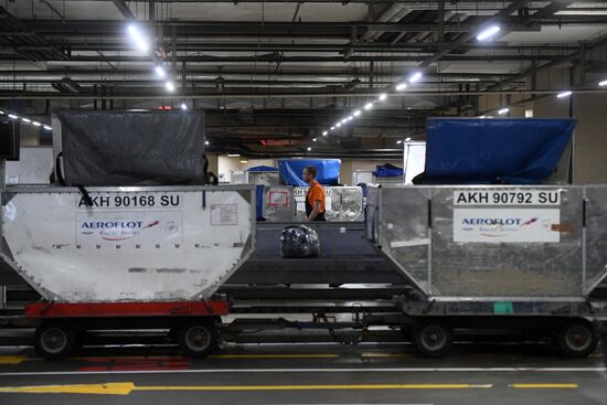 Выдача багажа в аэропорту Шереметьево 