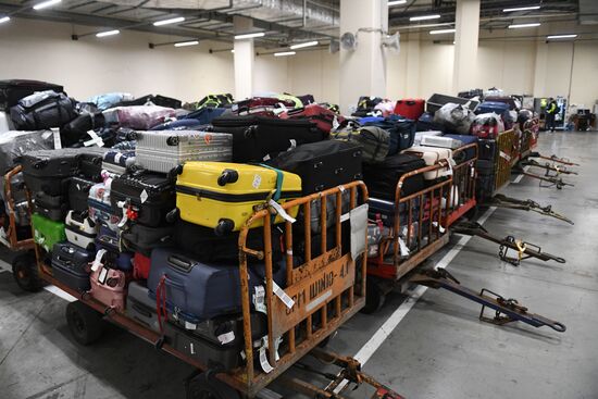 Выдача багажа в аэропорту Шереметьево 