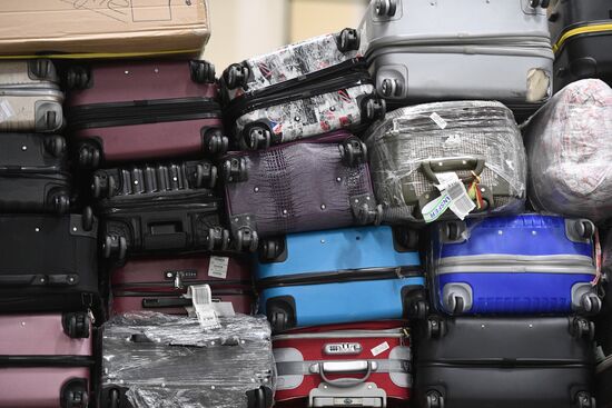 Выдача багажа в аэропорту Шереметьево 