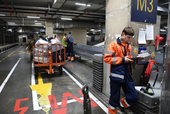 Выдача багажа в аэропорту Шереметьево 