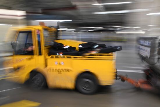 Выдача багажа в аэропорту Шереметьево 