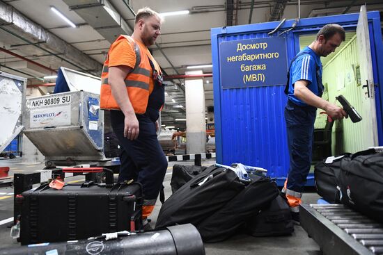 Выдача багажа в аэропорту Шереметьево 