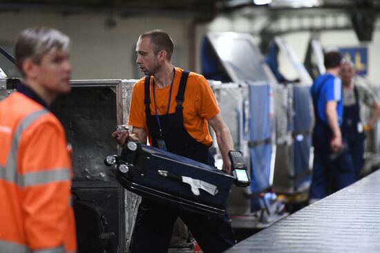 Выдача багажа в аэропорту Шереметьево  Выдача багажа в аэропорту Шереметьево 