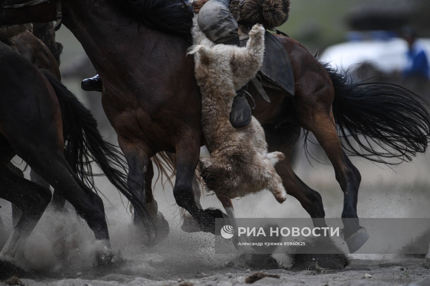 Чемпионат Республики Алтай по национальной игре кок-бору