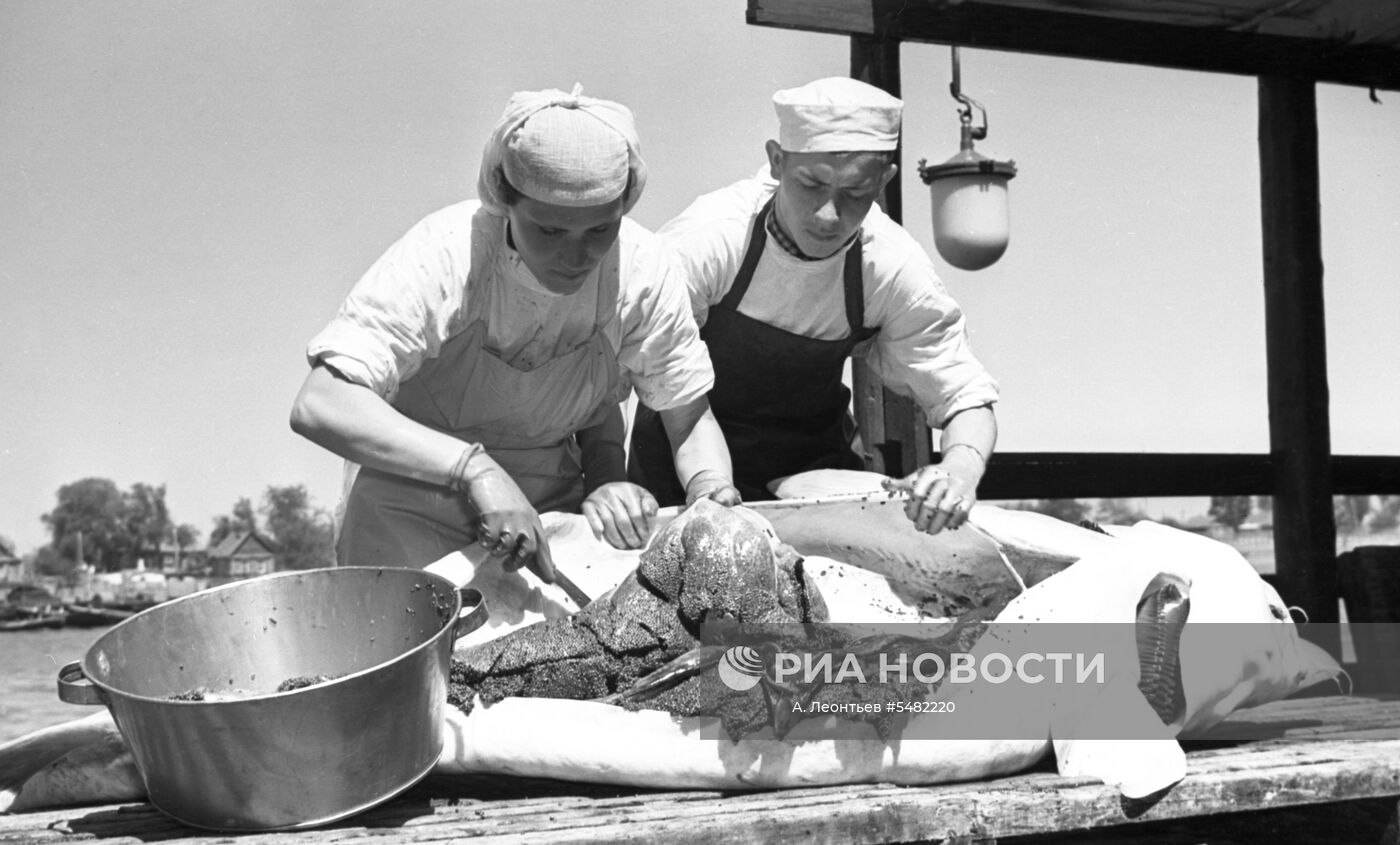 Осетровая икра | РИА Новости Медиабанк