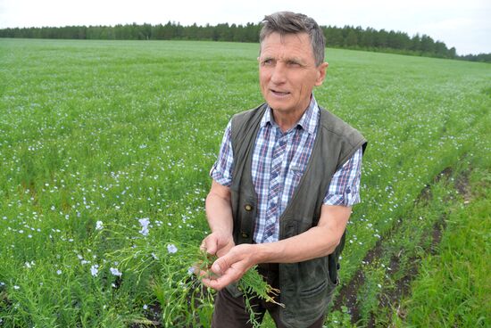 Сельскохозяйственное предприятие в Челябинской области 