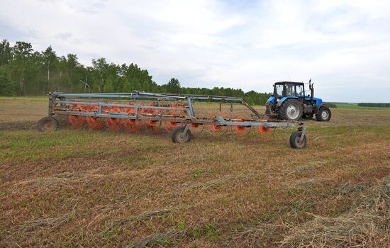 Сельскохозяйственное предприятие в Челябинской области 