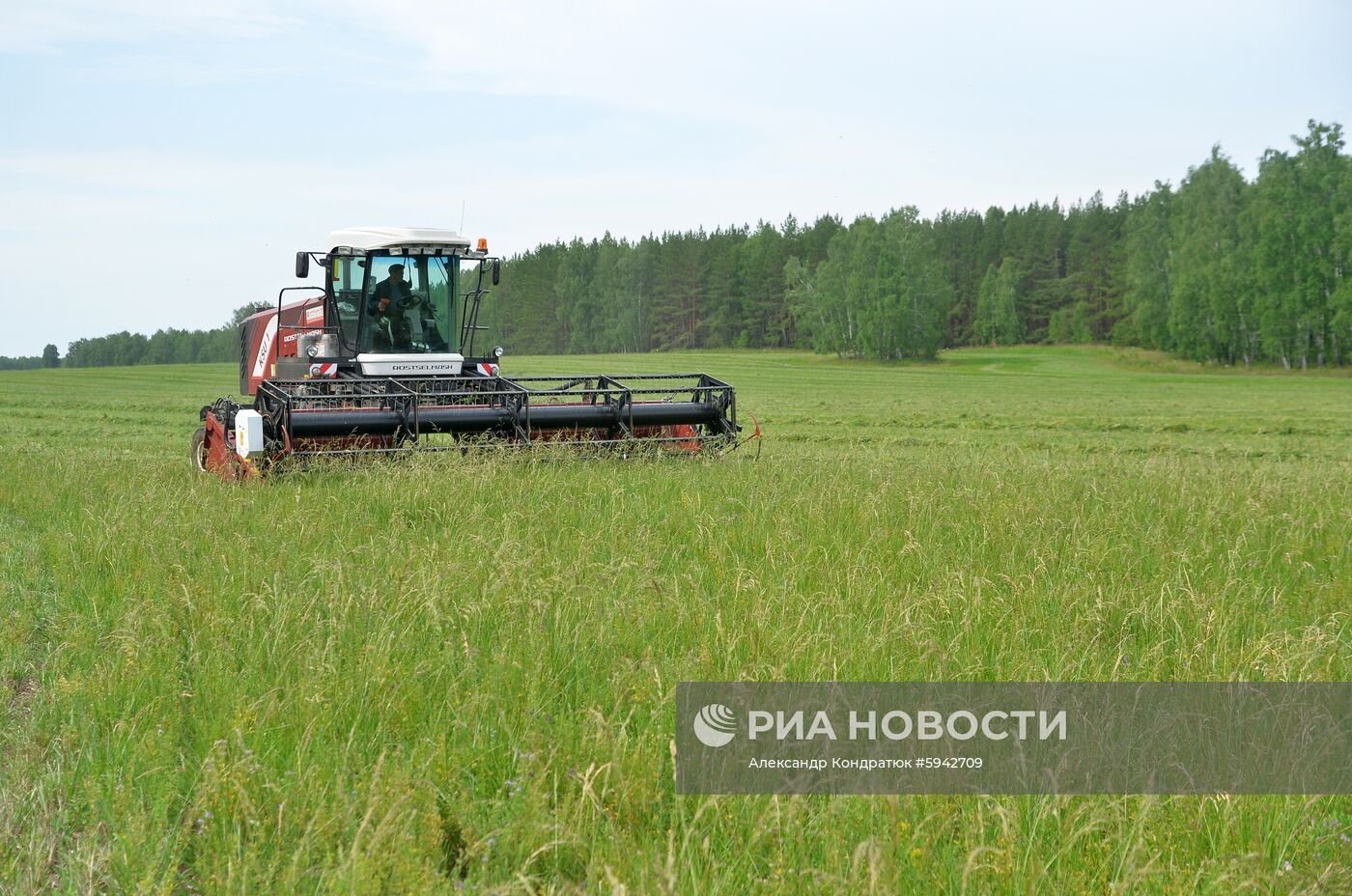 Сельскохозяйственное предприятие в Челябинской области 