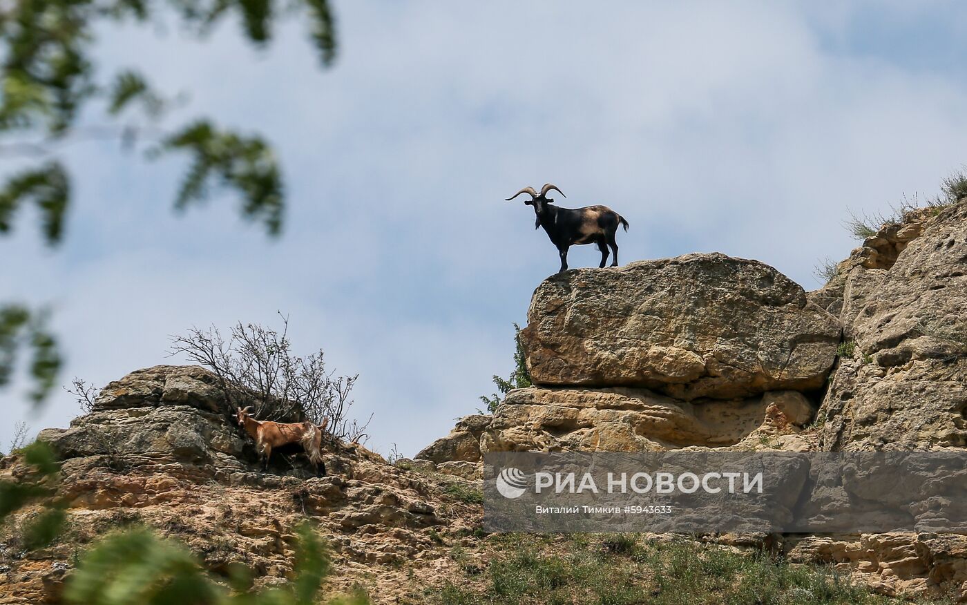 Города России. Кисловодск