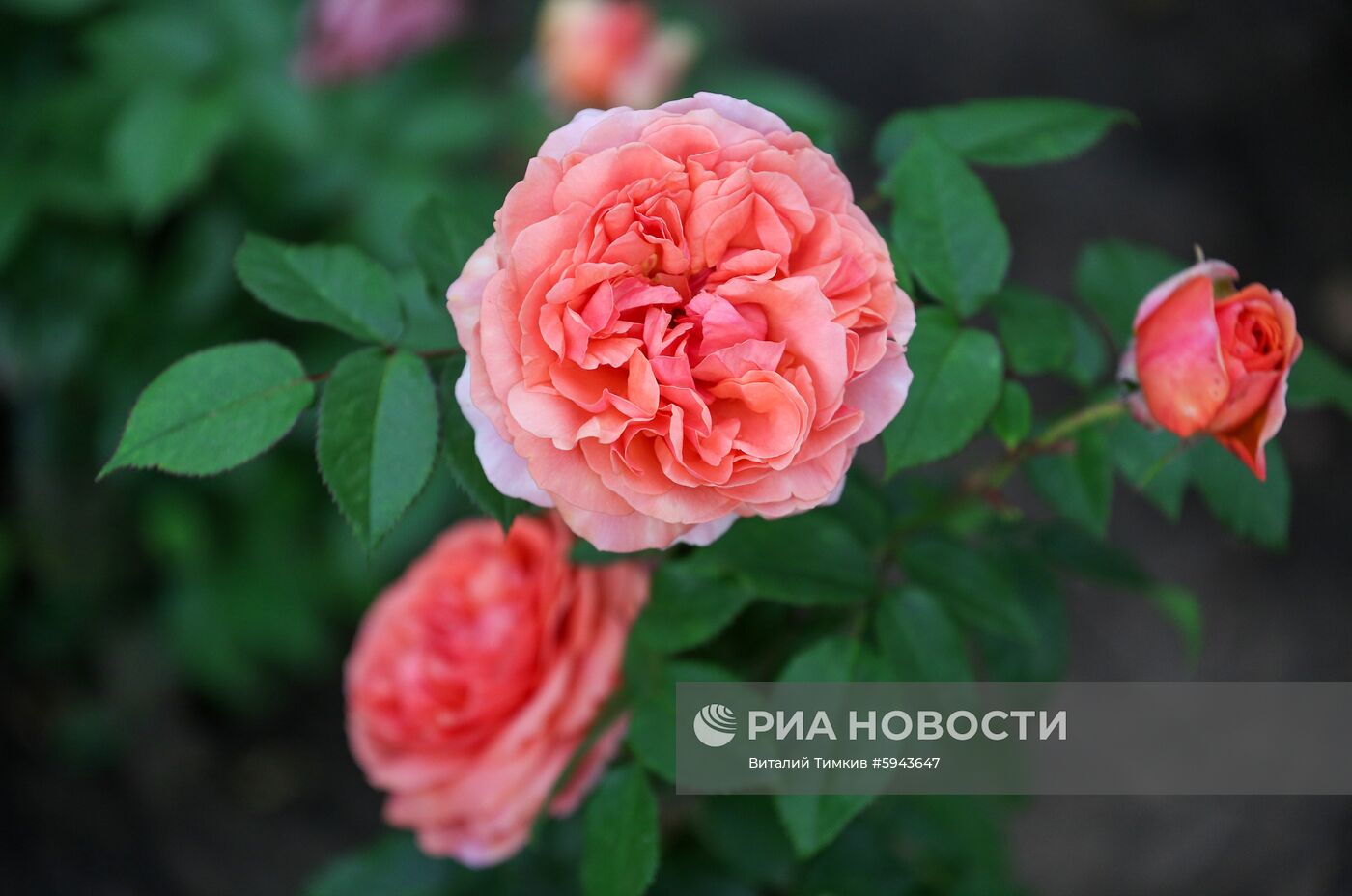 Города России. Кисловодск