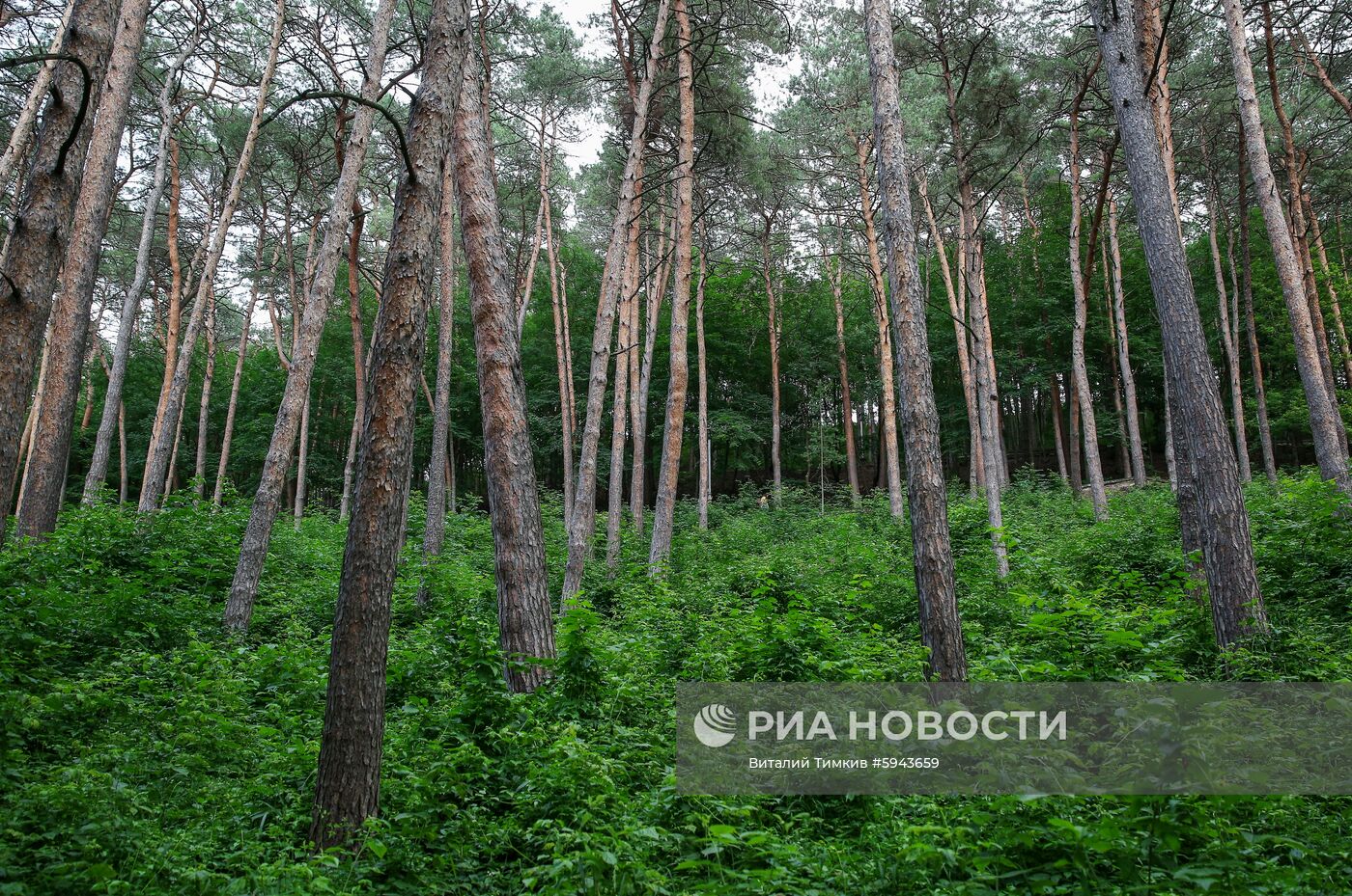 Города России. Кисловодск