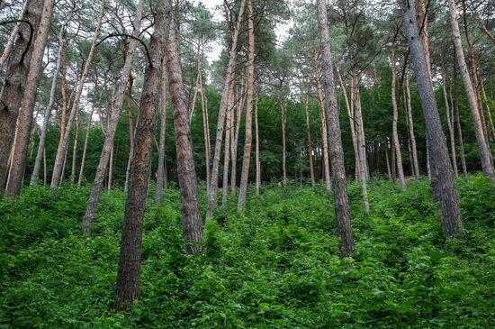 Города России. Кисловодск