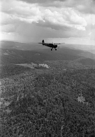 Авиационная охрана лесов от пожаров