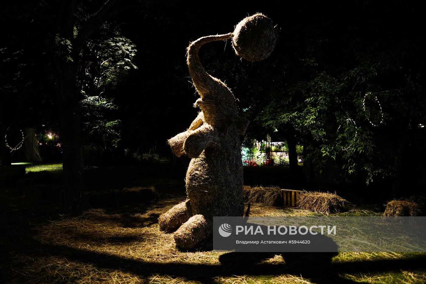 Gardens Night Light в рамках Moscow Flower Show 