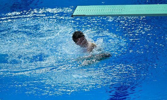 Чемпионат мира FINA 2019. Прыжки в воду. Женщины. Трамплин 1 м