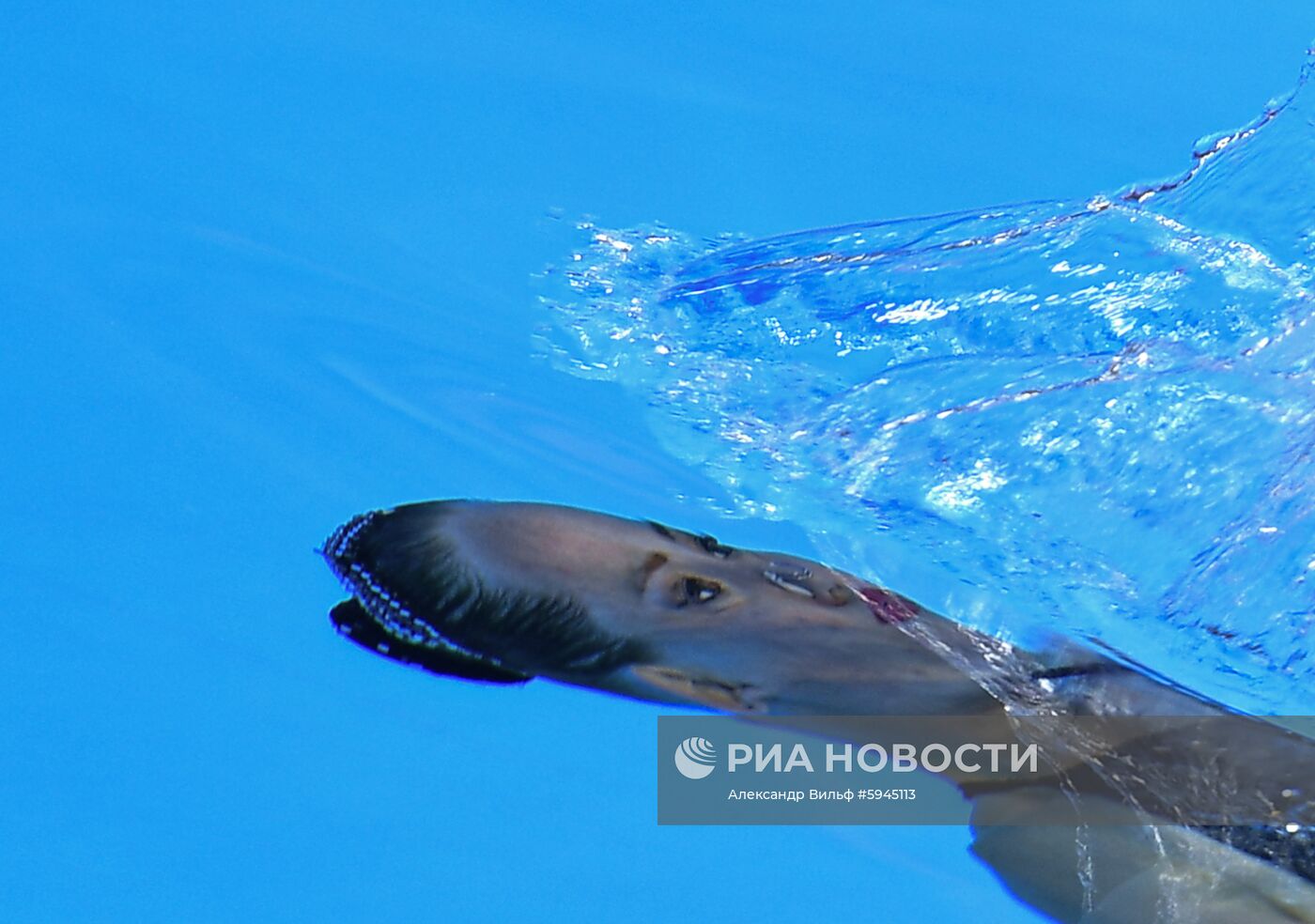 Чемпионат мира FINA 2019. Синхронное плавание. Соло. Техническая программа