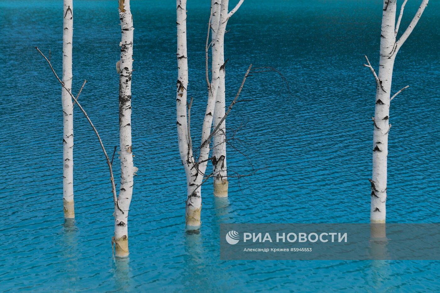 Золоотвал Новосибирской ТЭЦ-5