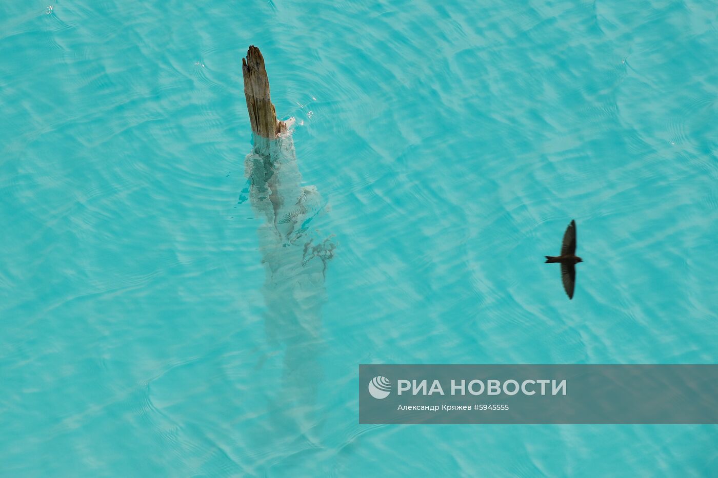 Золоотвал Новосибирской ТЭЦ-5