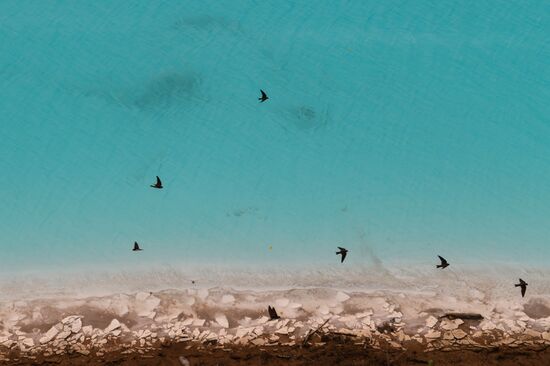 Золоотвал Новосибирской ТЭЦ-5