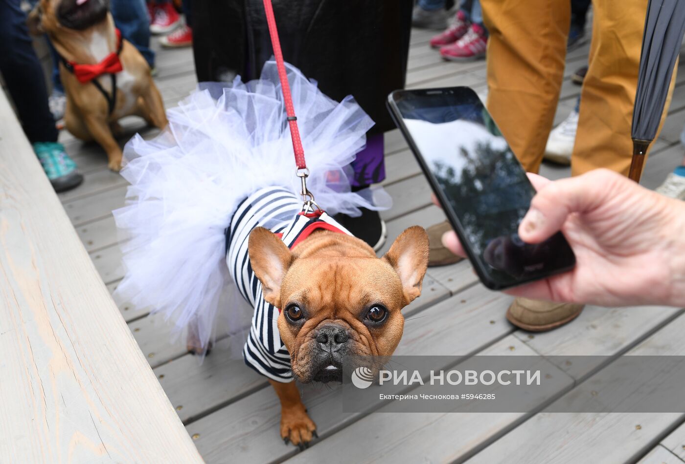Фестиваль "День Франции" в парке "Музеон"