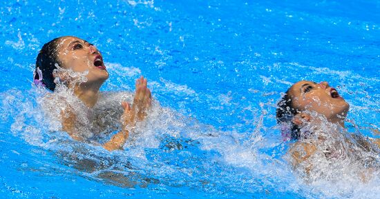 Чемпионат мира FINA 2019. Синхронное плавание. Дуэт. Техническая программа