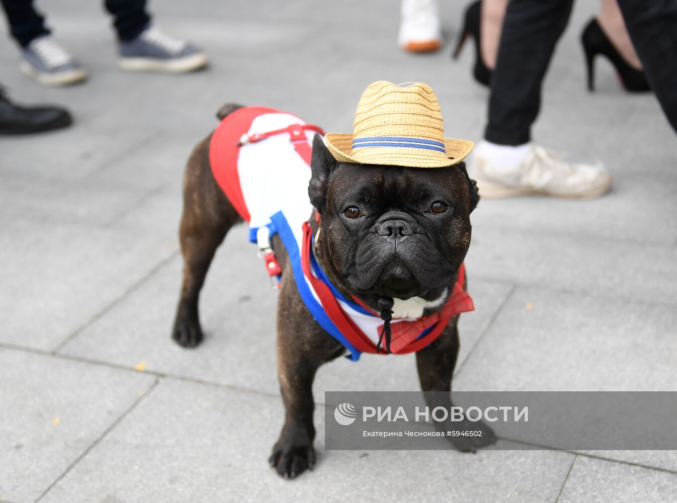 Фестиваль "День Франции" в парке "Музеон"
