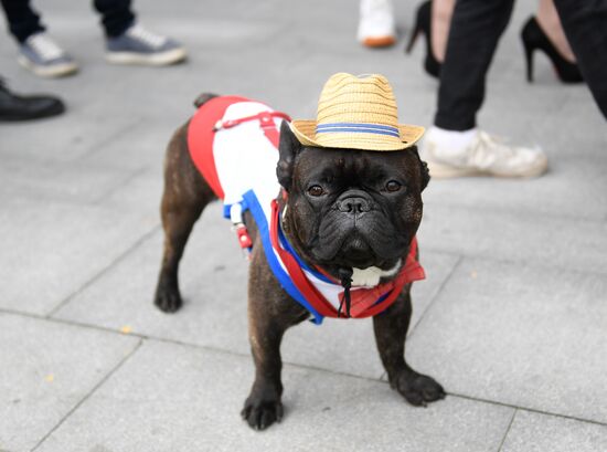 Фестиваль "День Франции" в парке "Музеон"